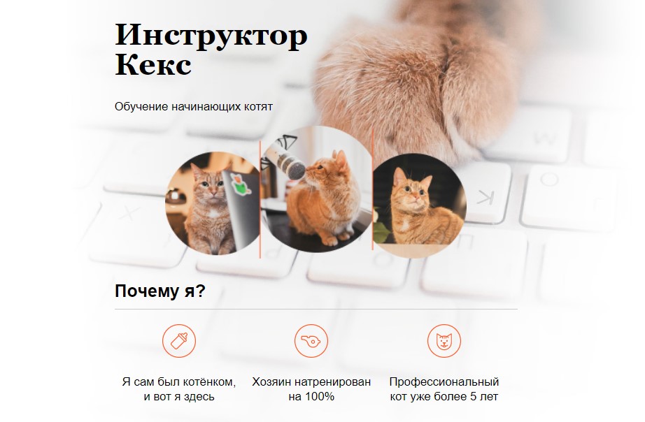 Cайт инструктора Кекса